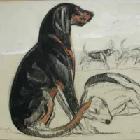 Musée de la Chasse et de la Nature, Paris, France.